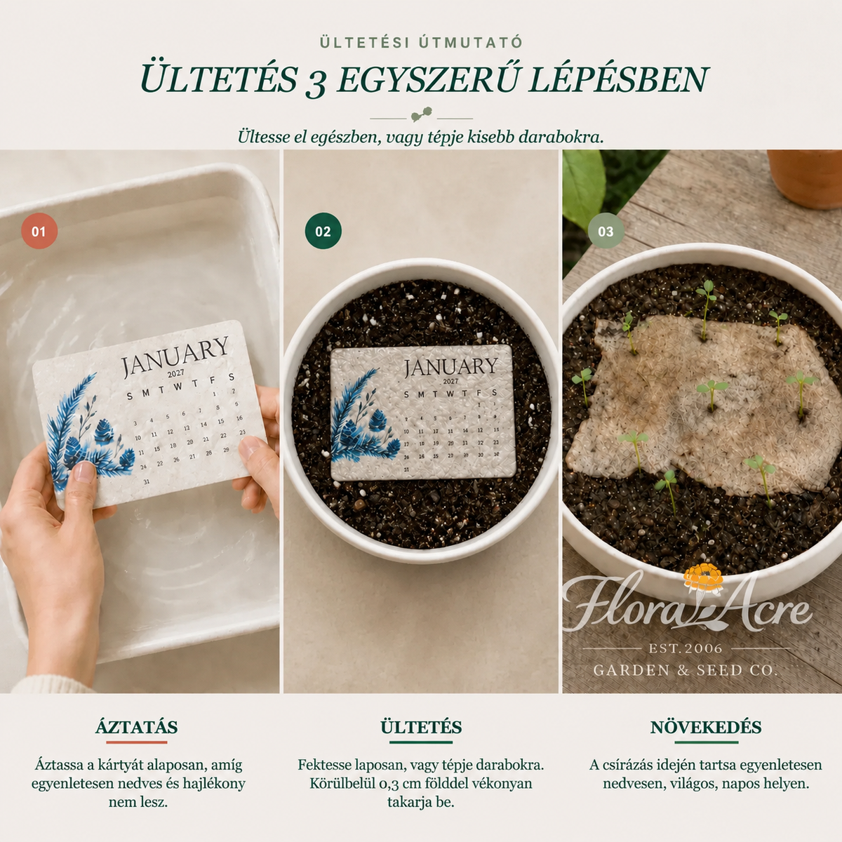 ✨1🌱Korai ünnepi vásár – 50% kedvezmény🌱Környezetbarát, elültethető „Időtlen” magvető naptár 2027-re