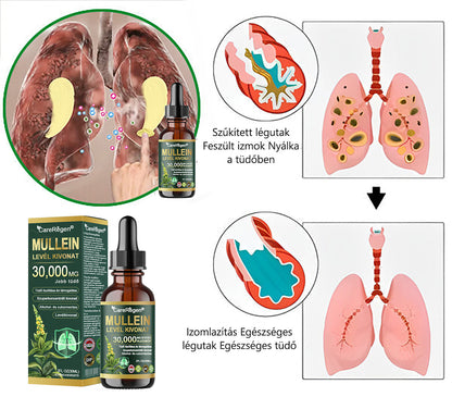 Hivatalos Bolt: CareRegen® Organikus Tüdőtisztító Ezüstlevelű Növény Kivonat Cseppek 💫 Klinikai vizsgálatokkal alátámasztott, magas koncentrációjú formula, amely enyhíti a köhögést, a nyákot, az asztmát és a COPD-t — könnyebb és gyorsabb légzés. 💫